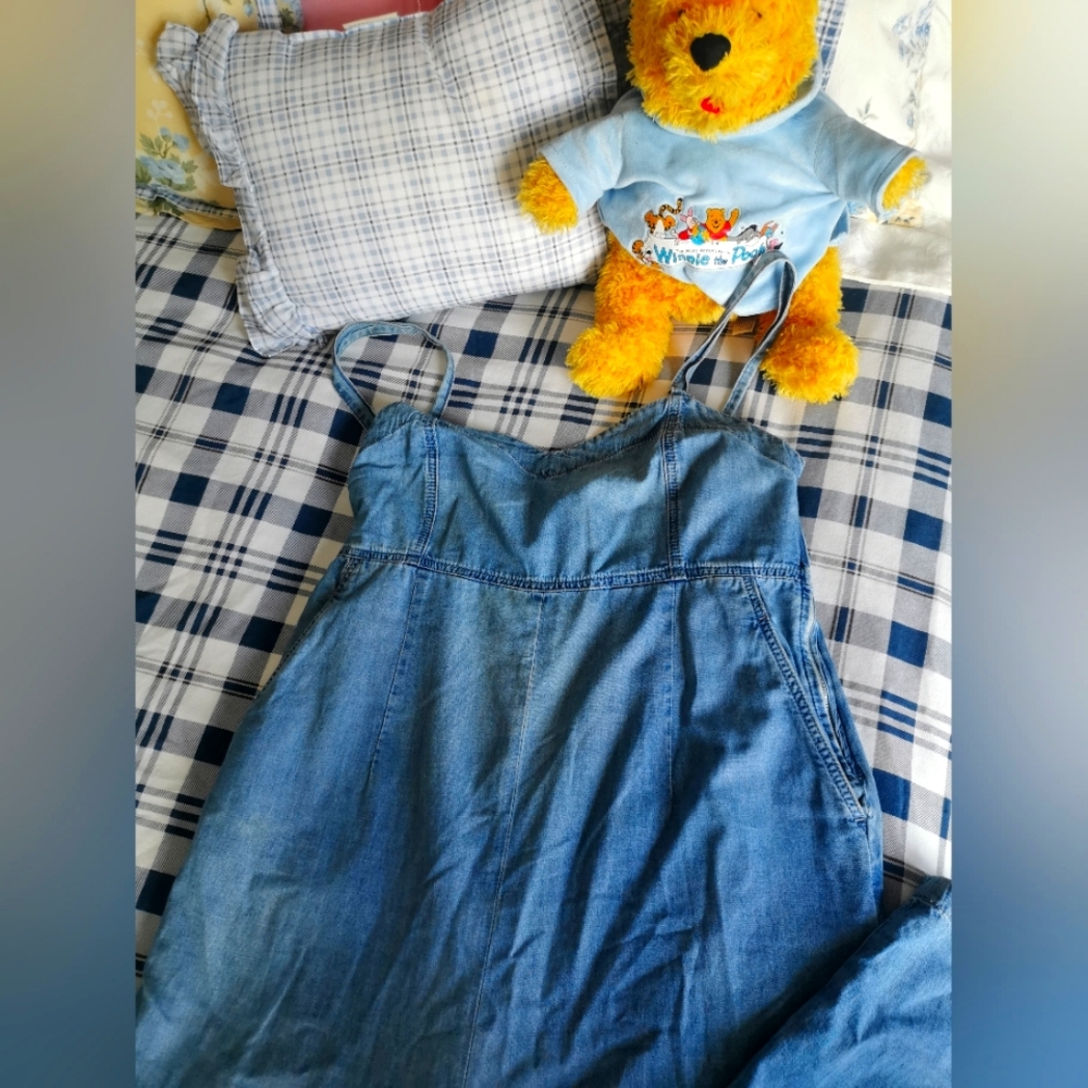 Mayernity Denim Jumpsuit
